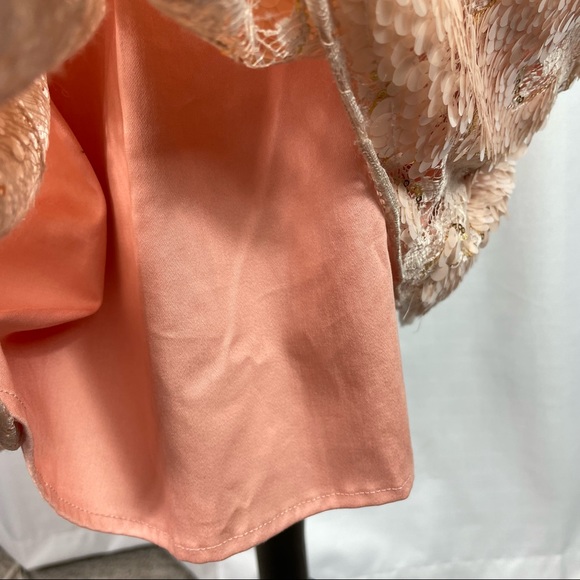 Anthropologie Eva Franco  Blush Gold Sequin Lace Fit and Flare Dress 8 - Picture 7 of 14